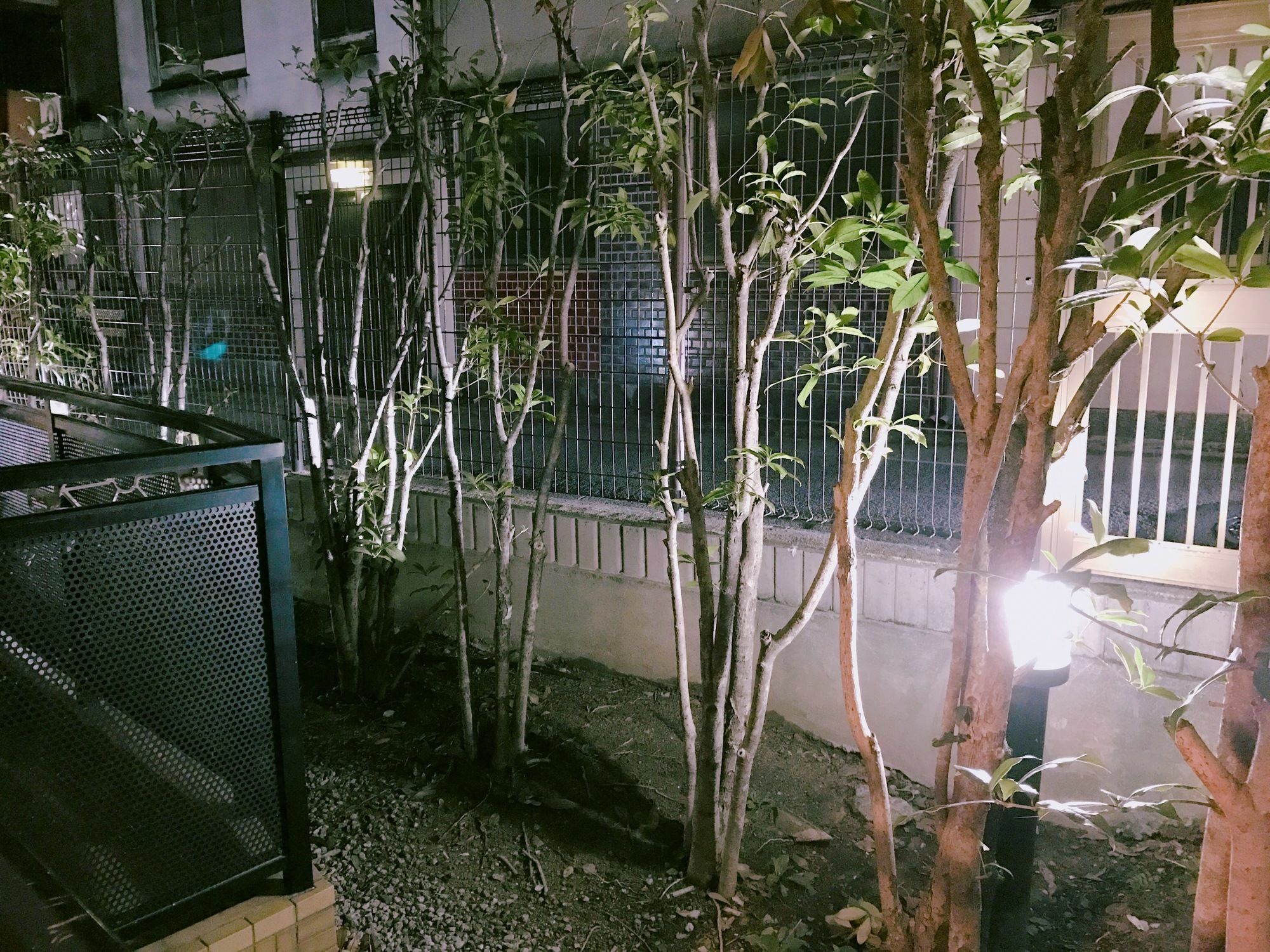 Gloire * Kyoto